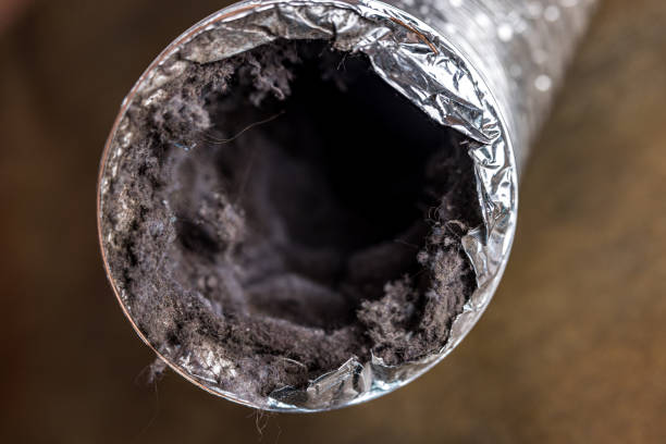 Best HVAC Duct Inspection Services  in Matamoras, PA